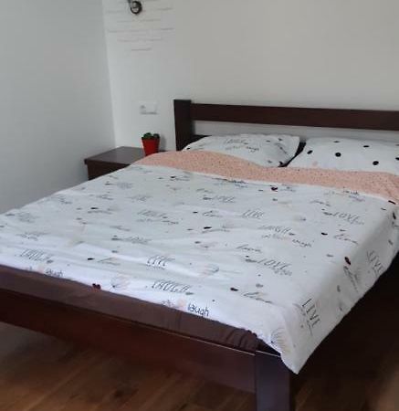 Transfer Apartment Lviv Bagian luar foto