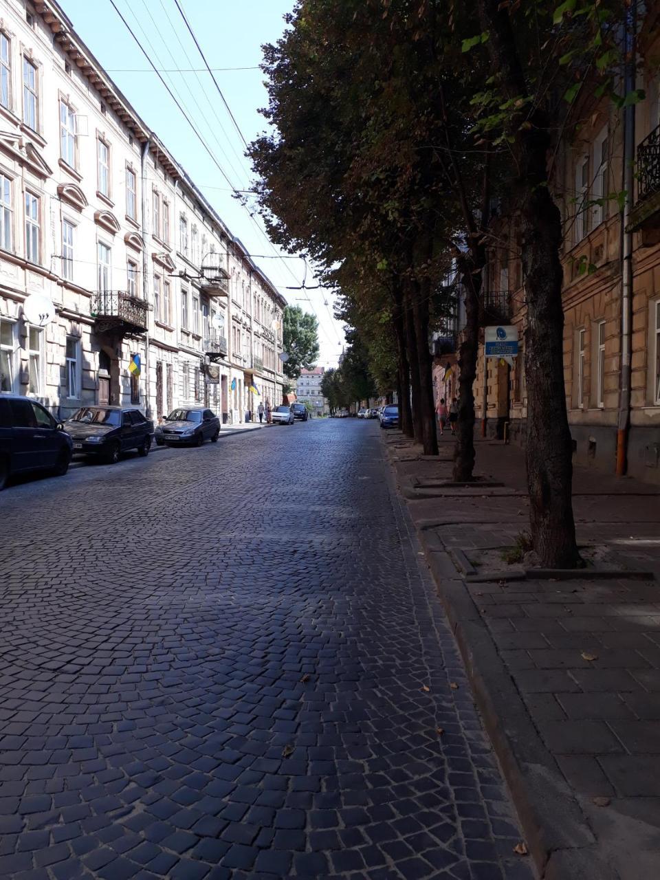 Transfer Apartment Lviv Bagian luar foto