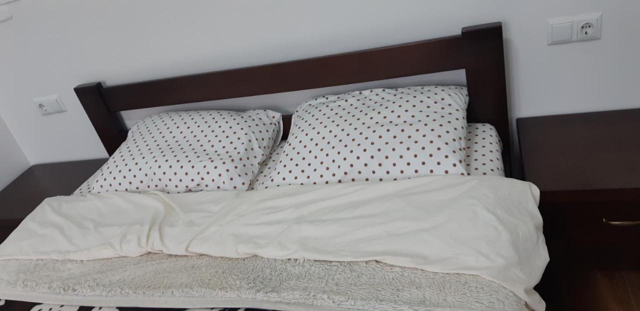 Transfer Apartment Lviv Bagian luar foto